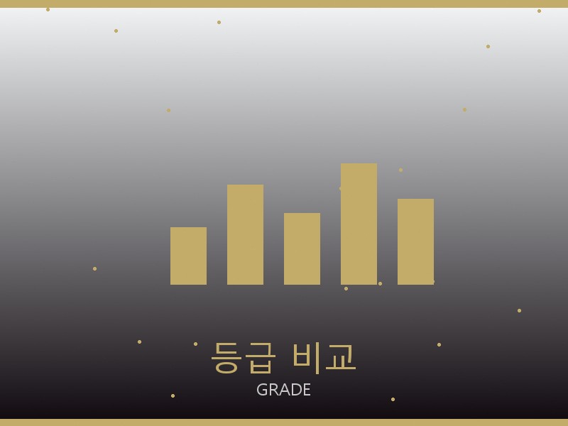 남성 레플리카 사이트 등급 기준 비교